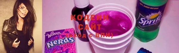 стаф Нея